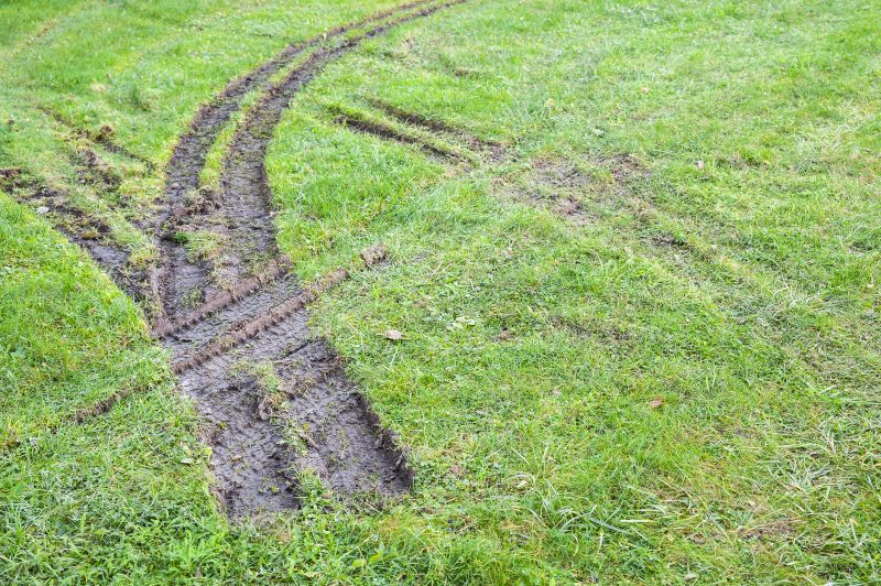 Local Lawn Ruts Repair pros at work