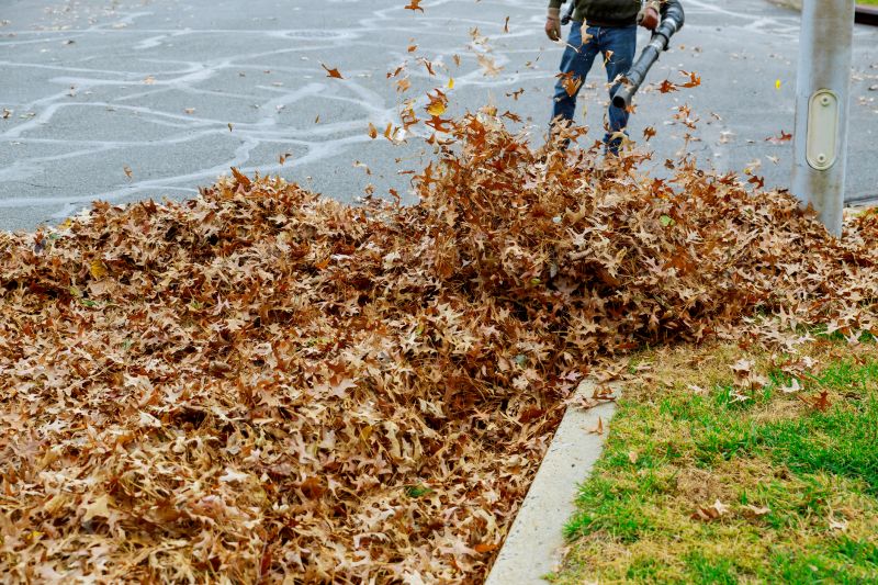 Fall Lawn Debris Removal