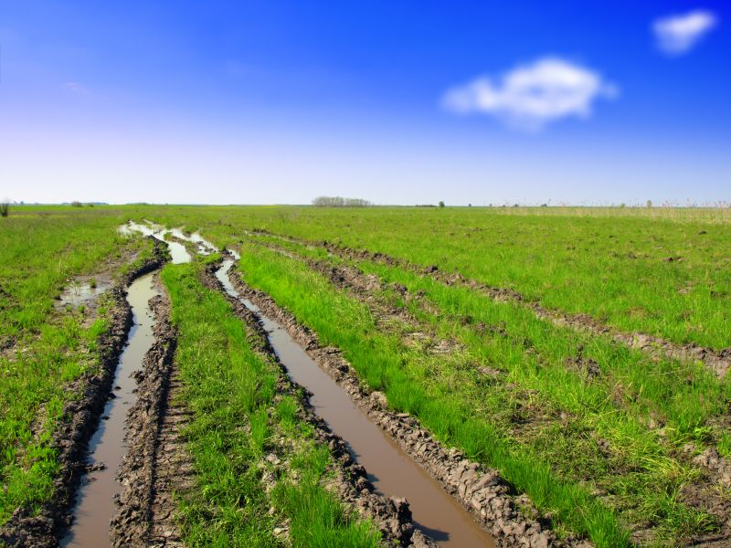 Lawn Ruts Repair Process