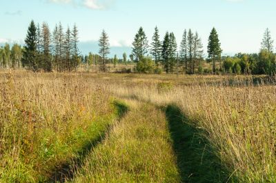 Improved Curb Appeal